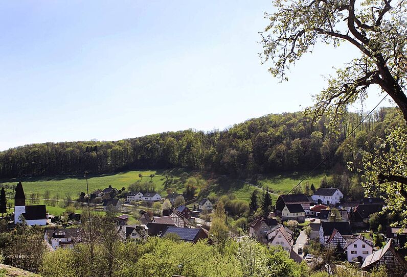Abbildung Blick über das Dorf Tiefensall mit blühendem Birnbaum