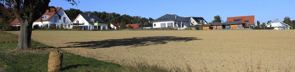 Illustratives Bild Ortsrand Friedrichsruhe mit Apfelbaum im Vordergrund