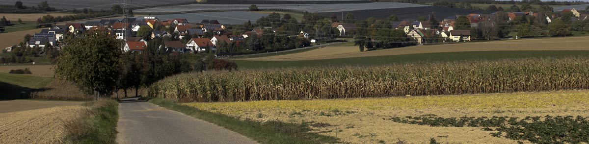 Illustratives Bild Blick auf Zweiflingen mit reifen Maisfeldern im Vordergrund